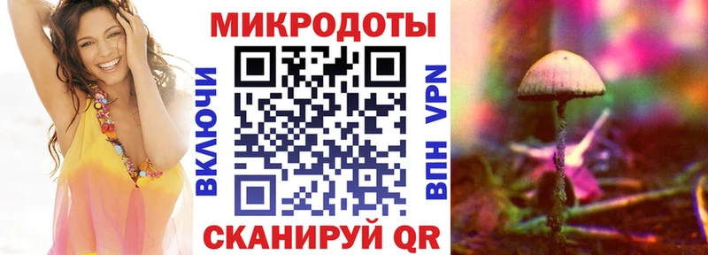 кракен вход Приволжск Псилоцибиновые грибы мухоморы