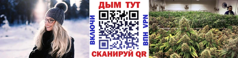 цена наркотик  Приволжск  hydra ТОР  Канабис тримм 