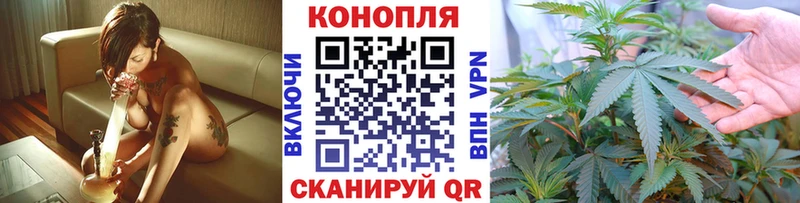 Каннабис ГИДРОПОН Приволжск